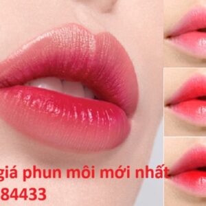 Bảng giá phun môi mới nhất - Hotline tư vấn và báo giá: 0901684433