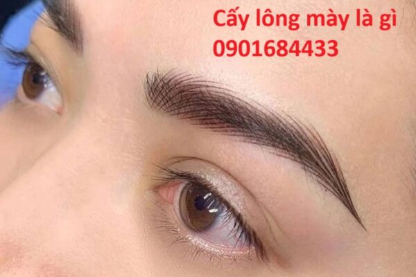 Cấy lông mày là gì? Chi phí cấy lông mày: 0901684433